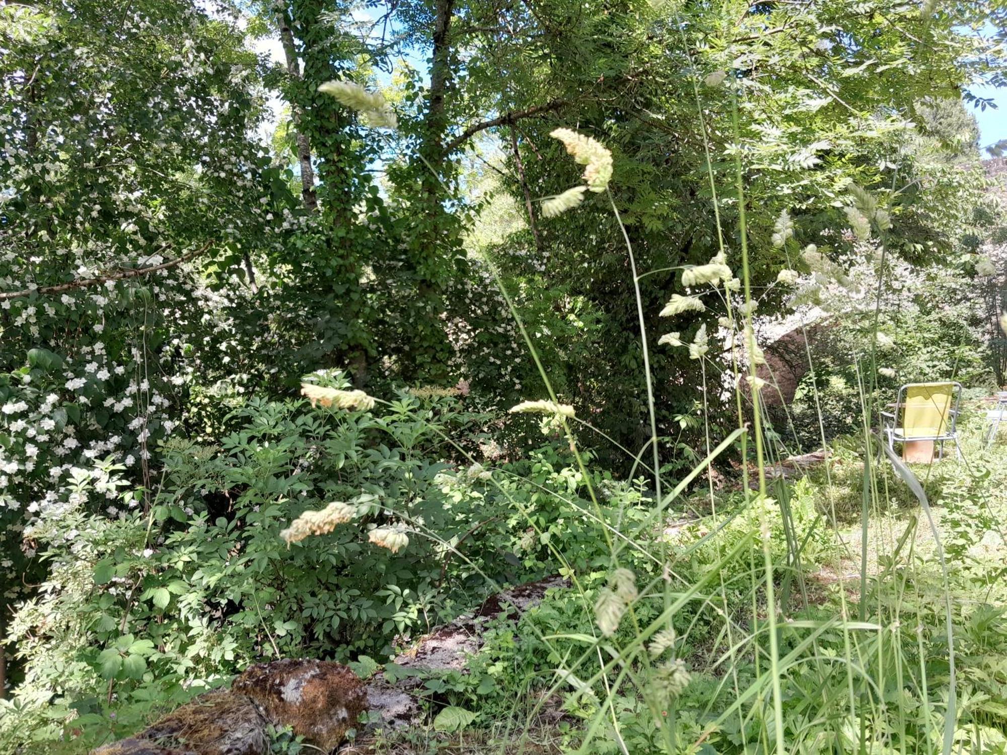 Appartement Privatif En Bord De Riviere Figeac Luaran gambar
